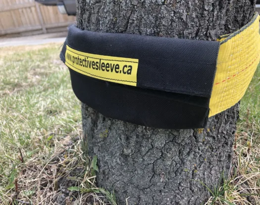 Strap saver on a strap around a tree