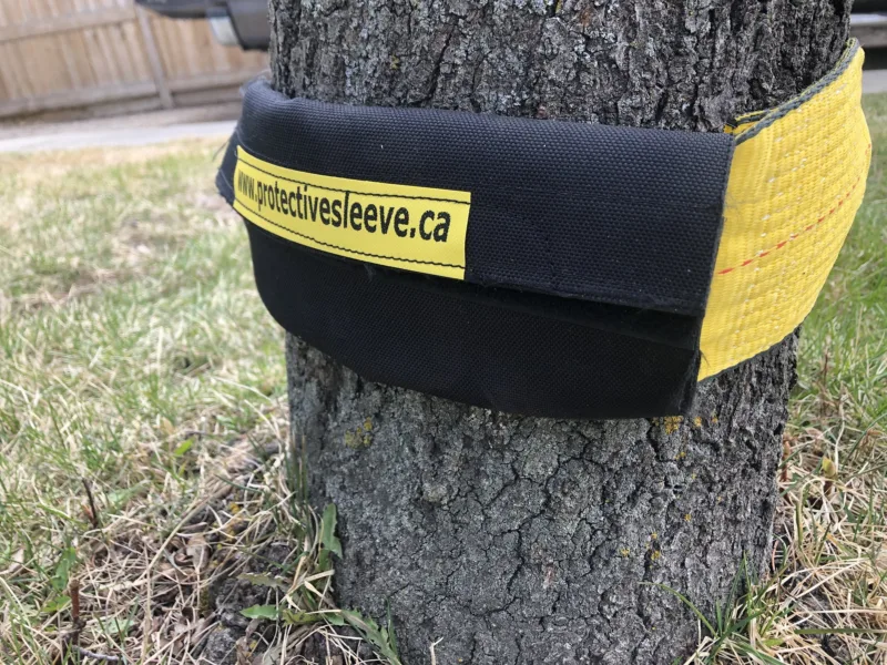 Strap saver on a tow strap at a tree